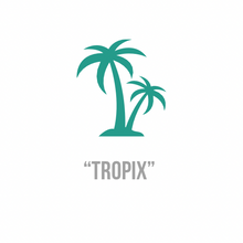 Load image into Gallery viewer, Tropix | Teal Acrylic
